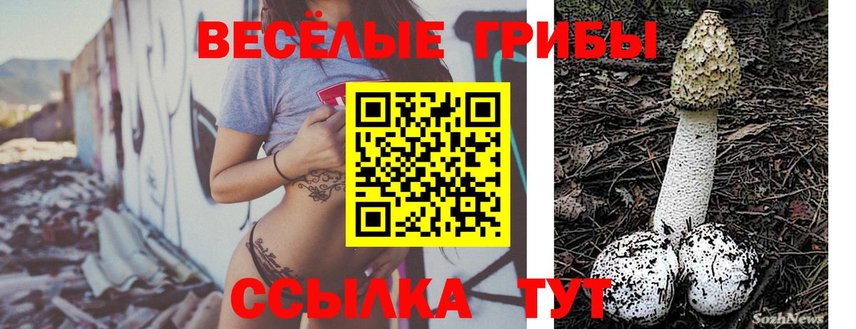 Мурино  Псилоцибиновые грибы прущие грибы  Вход с VPN 